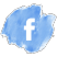 Facebook ico